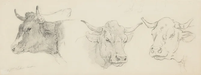 Badanie bydła do strzyżenia owiec, 1872-77 (grafit na papierze płowożółtym)